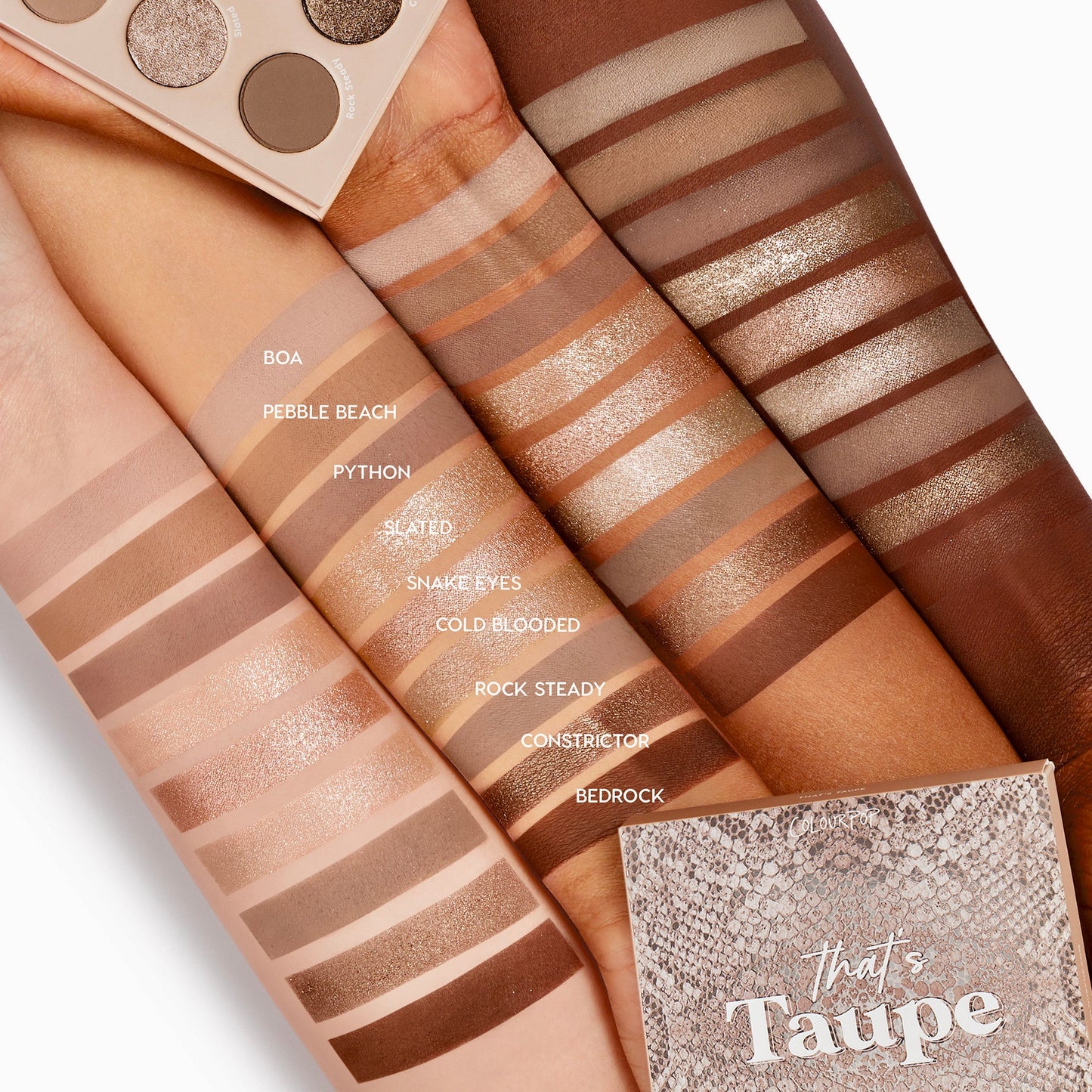 C'est Taupe